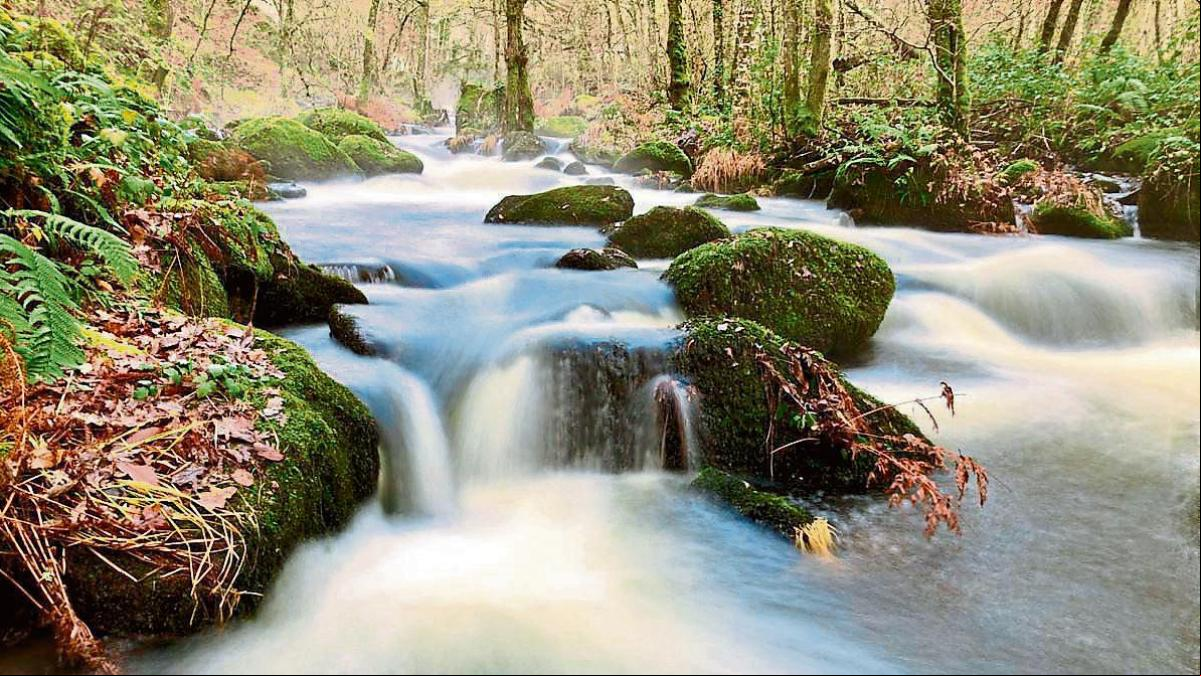 Ruta mágica por el sendero del río Mera