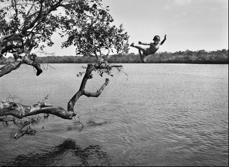 amazonia
