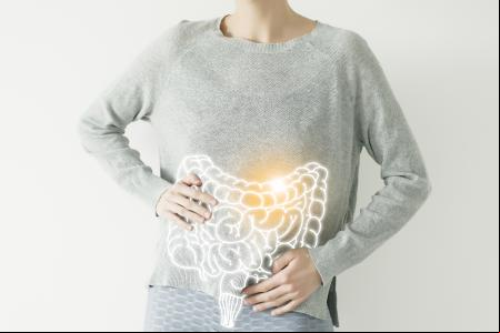 Probioticos y Prebioticos Intestinales