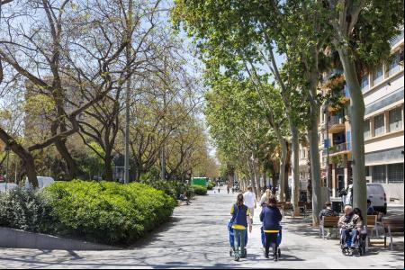 La nueva vegetación de la calle Llança es más resistente a la sequía
