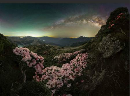 «Blosoom» – Parque de Cielo Oscuro de Hehuan, Taiwan. Vía Lçactea tras los rododendros alpinos de Yushan .