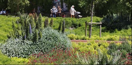 Nuevos espacios de parques y jardines de Barcelona donde se han plantado nuevas especies más resistentes a la sequía. Variedad de plantas y flores en el Parc de Can Batlló
