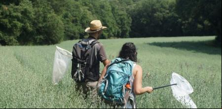 La sequía provocó en Catalunya la mayor extinción local de mariposas desde que hay registros