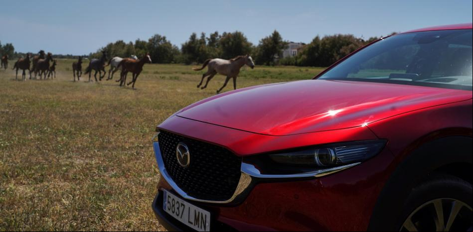Una ruta inolvidable por Doñana al volante del SUV híbrido Mazda CX-30