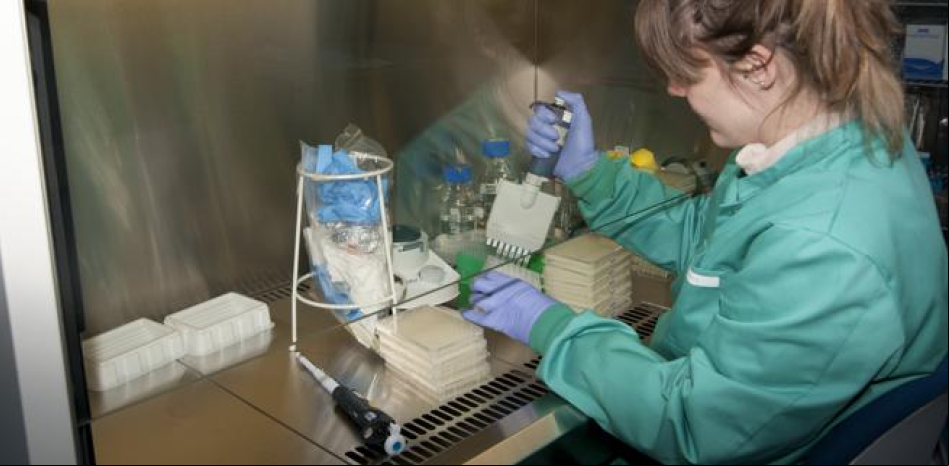 Mujeres en la ciencia, una asignatura pendiente