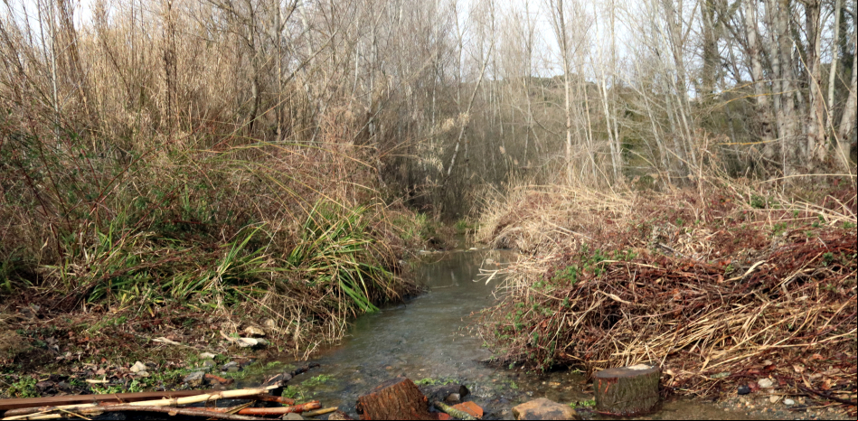 Querella contra un líder ecologista por bloquear el trasvase de un río
