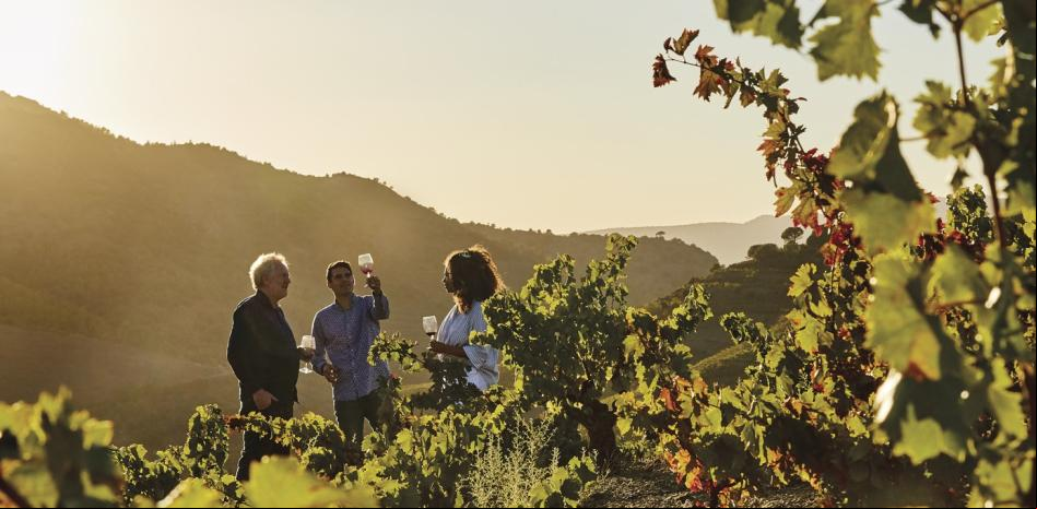 Perinet Winery, los vinos que no se rinden ante las dificultades
