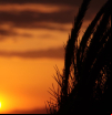 La última hora del sol del Urgell