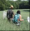 La sequía provocó en Catalunya la mayor extinción local de mariposas desde que hay registros