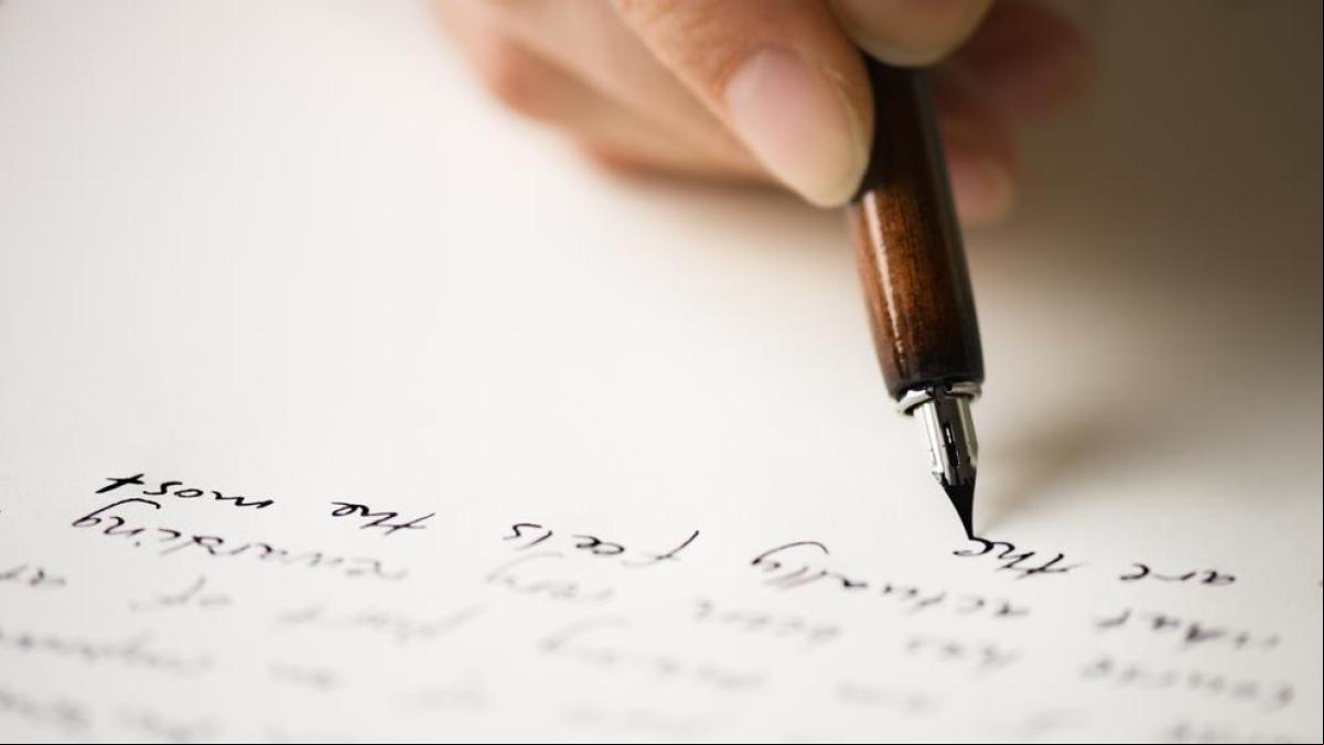 La vida profunda de las novelas La vida profunda de las novelas