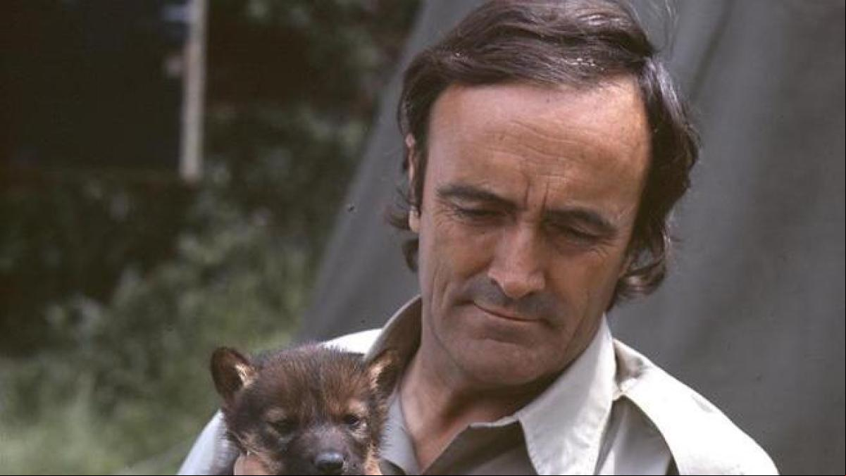 Así dio La Vanguardia la muerte de Félix Rodríguez de la Fuente hace 42 años