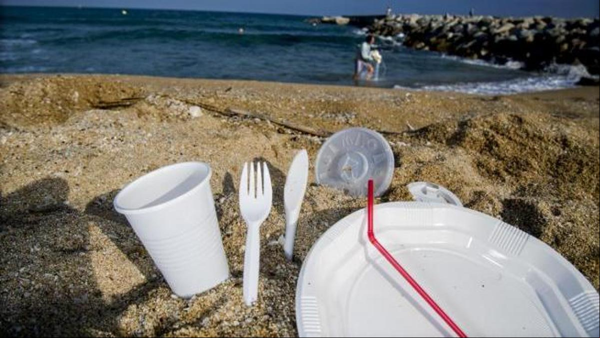 Los economistas reclaman impuestos medioambientales estatales para avanzar en la descarbonización