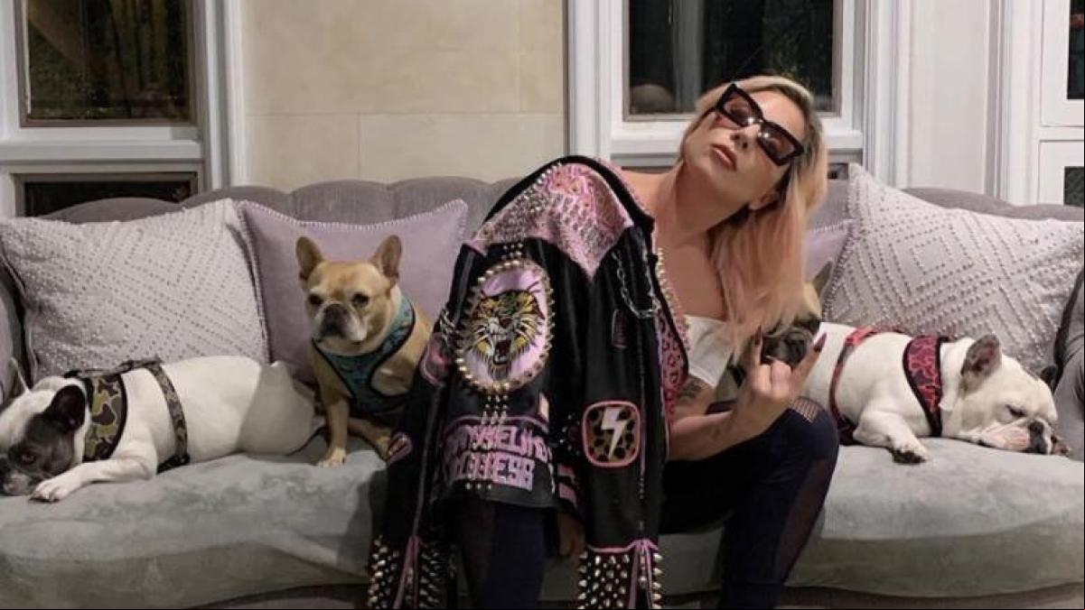 Pena de 21 años de cárcel para el autor del disparo contra el paseador de los perros de Lady Gaga