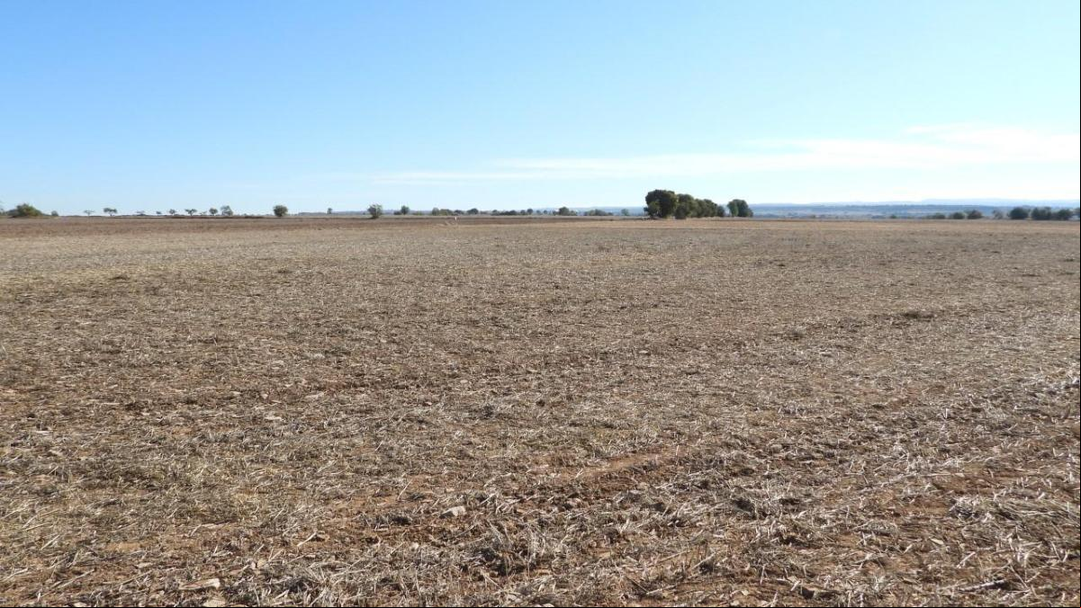 Desierto en Lleida en pleno otoño