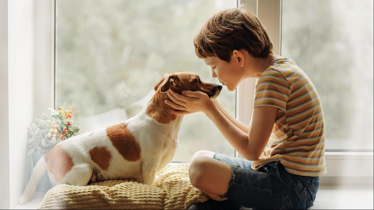 ¿Por qué tenemos cada vez más mascotas?