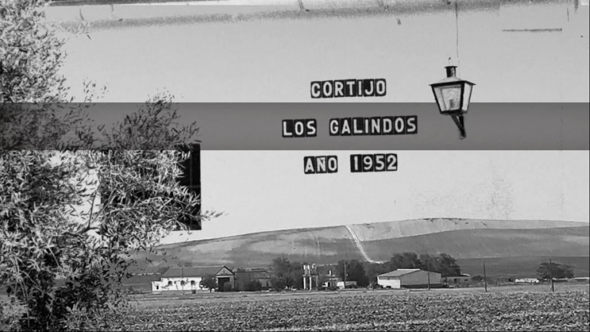 ¿Quién fue el autor del crimen de Los Galindos?: esta es la hipótesis que cobra más fuerza