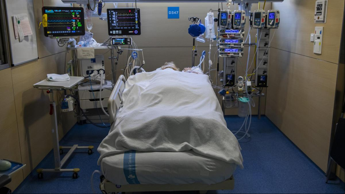 Científicos españoles diseñan una píldora viva para tratar infecciones pulmonares