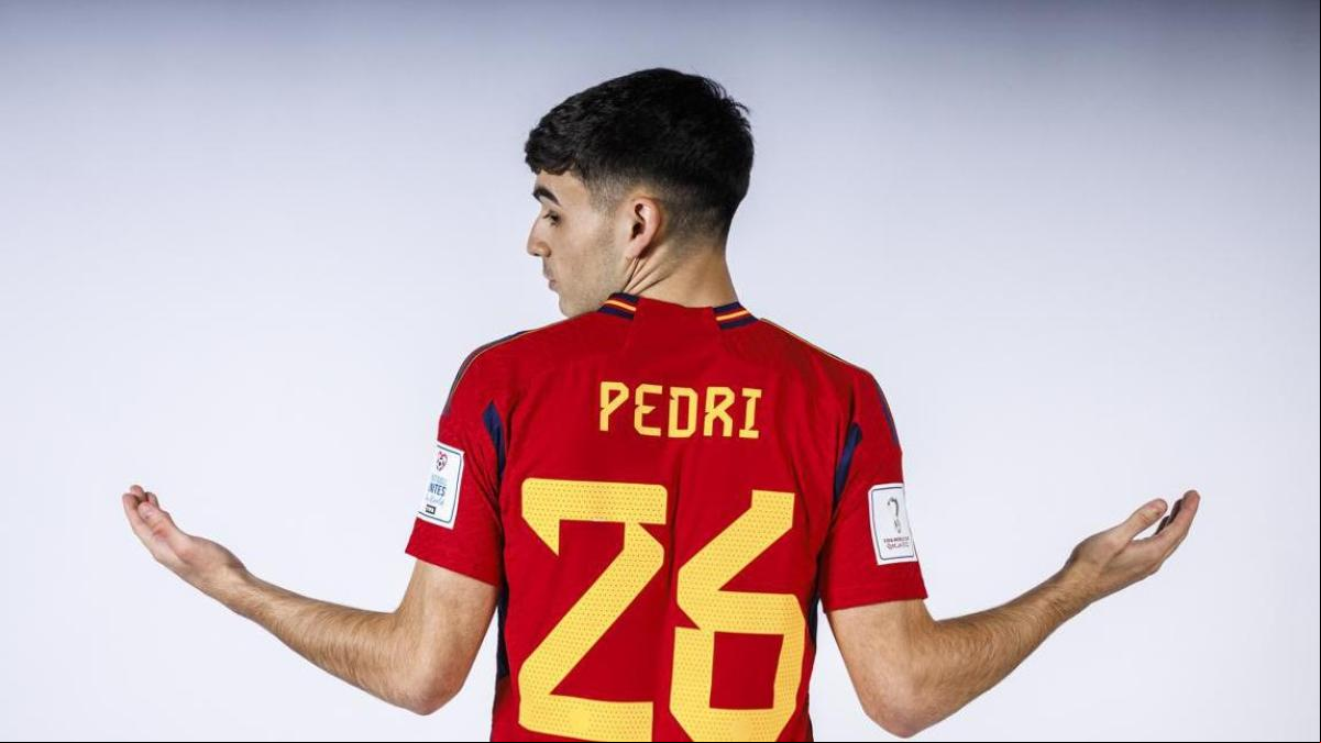 Pedri, un antidivo no contaminante