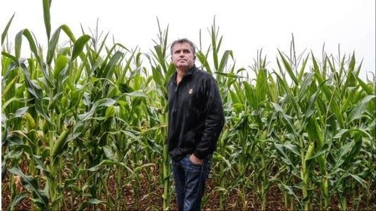 “11.000 euros por tanto sacrificio”: fin a la larga batalla legal de un agricultor contra Bayer por una intoxicación
