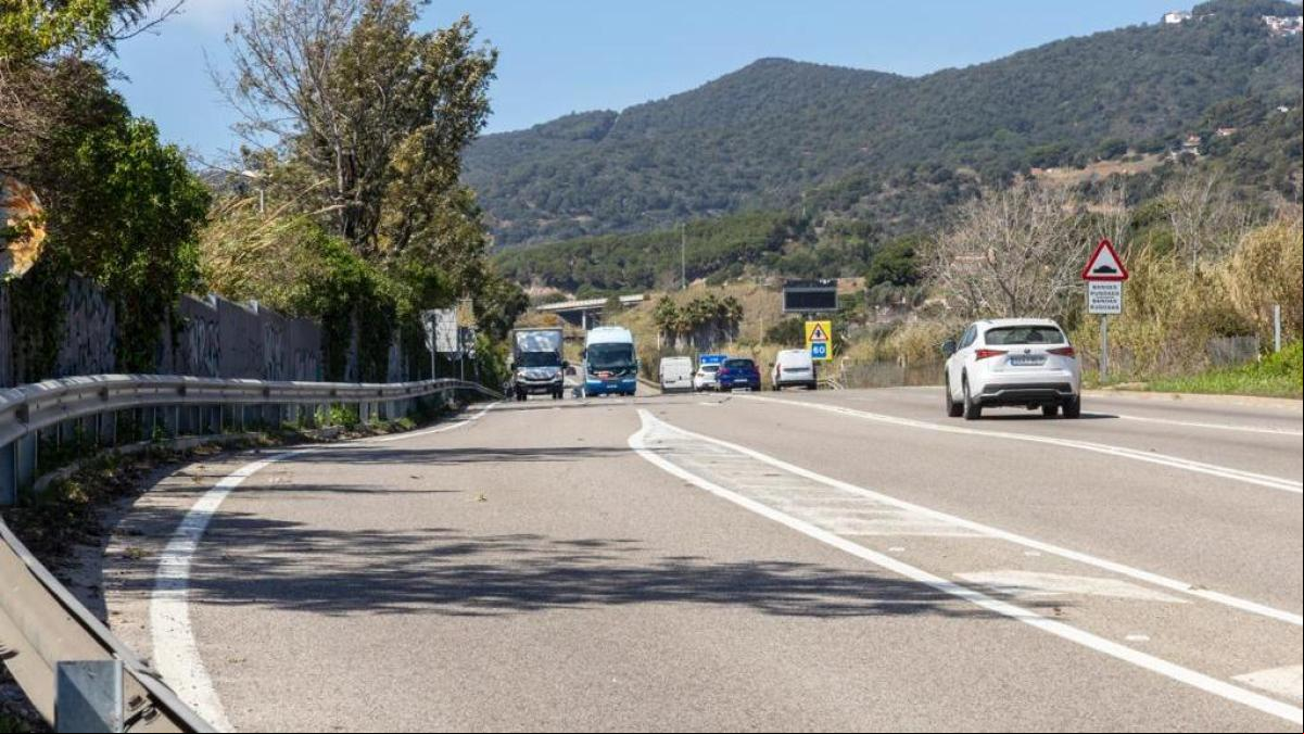 Calella y Pineda reclaman mejorar la seguridad en la N-II y la C-32 para evitar accidentes con jabalíes