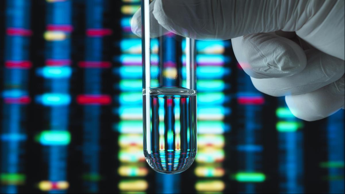 Llega el pangenoma, el proyecto genoma de la diversidad humana