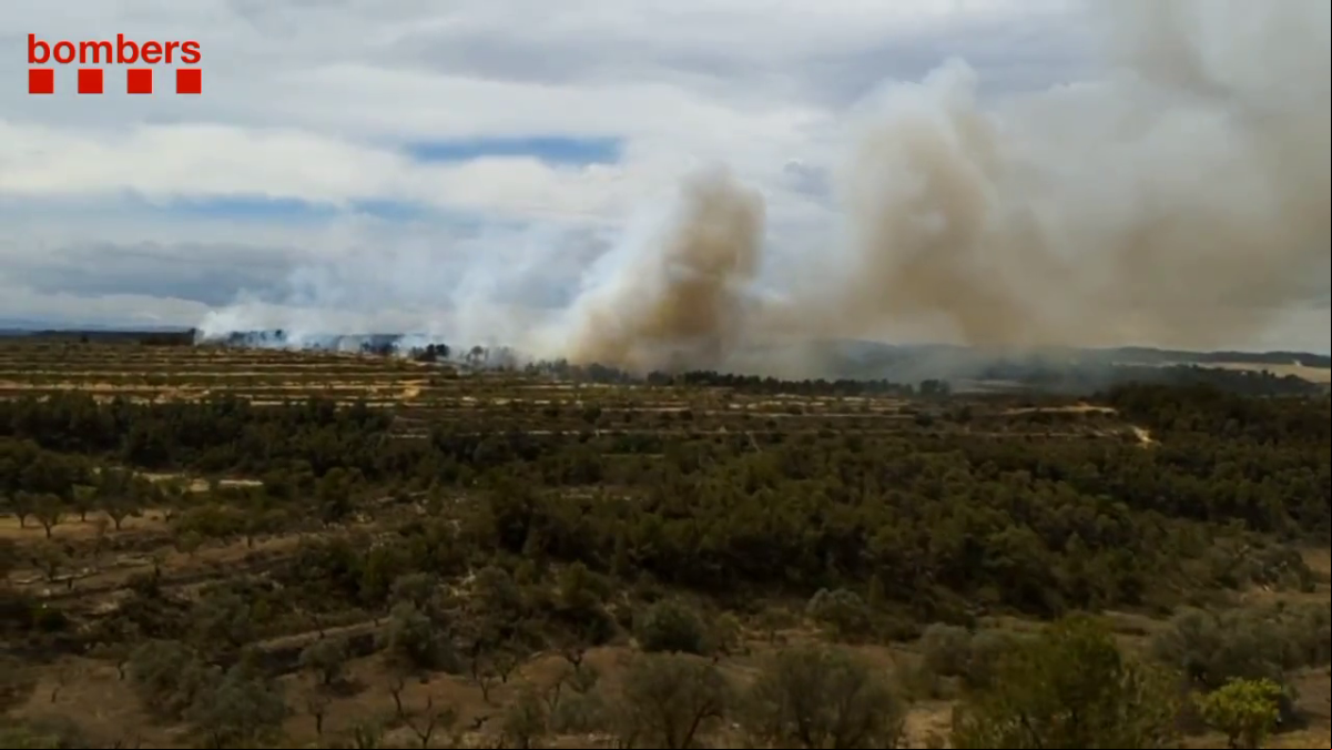 Hallan un cuerpo calcinado dentro del perímetro de un incendio forestal en Batea