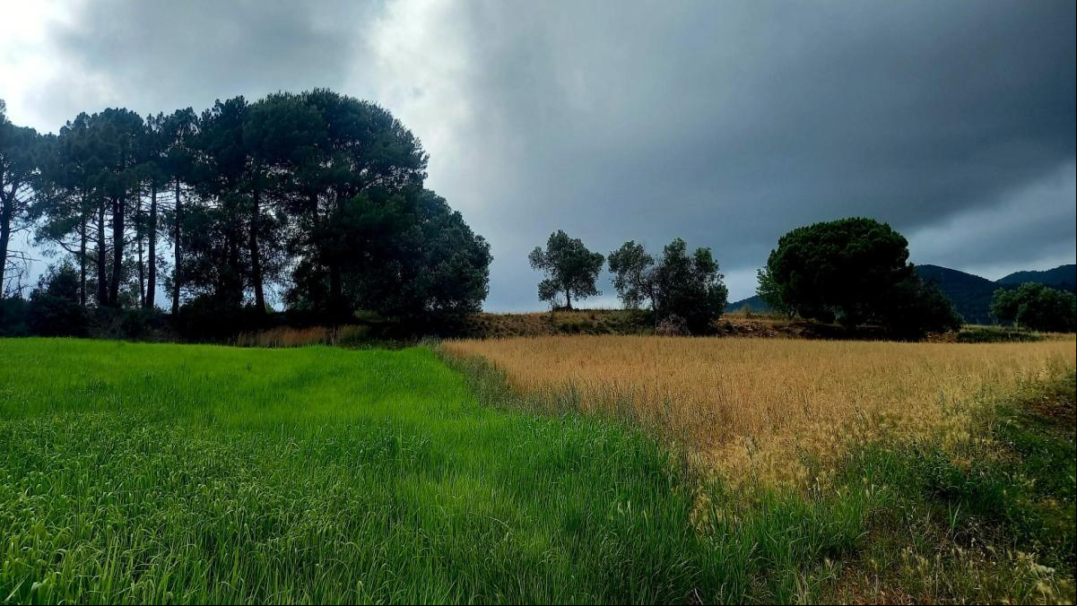 La Garriga se reivindica