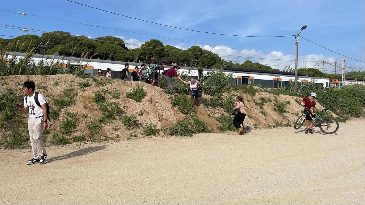 La caída de un árbol en la vía corta la circulación de trenes de la R1 entre Arenys y Pineda de Mar