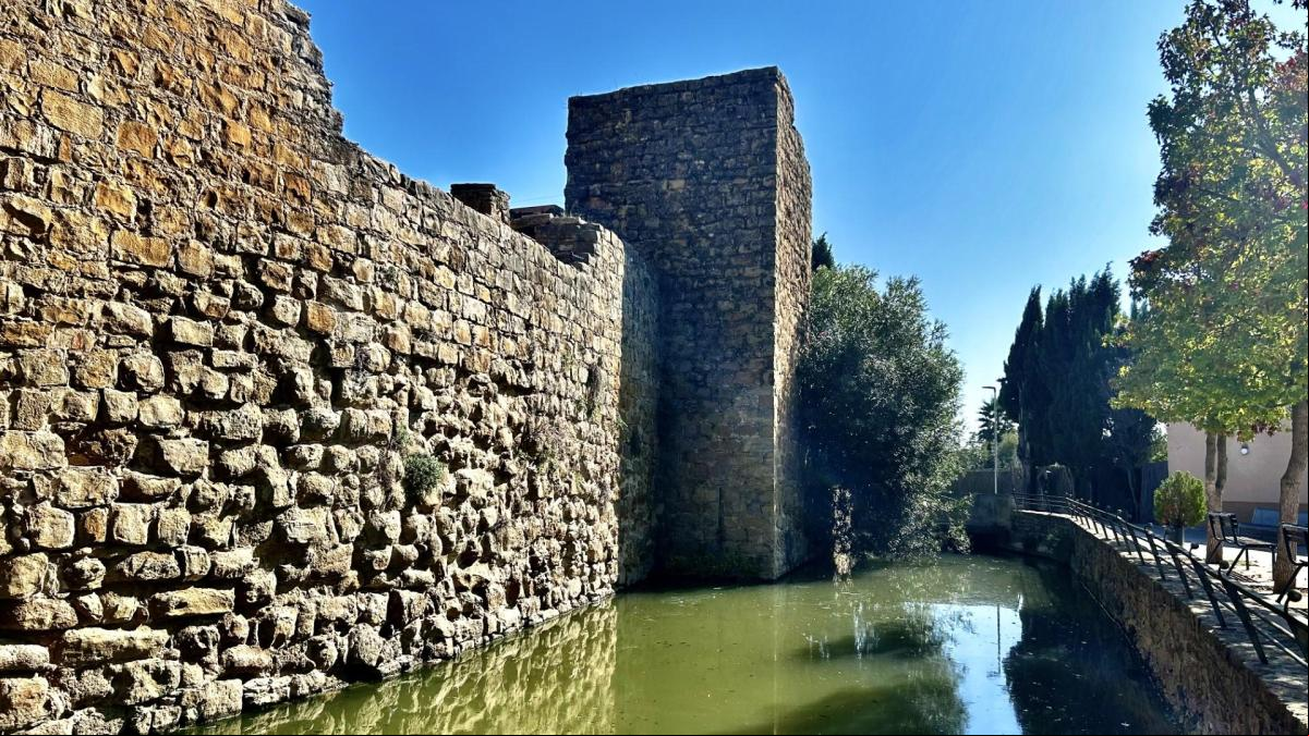 El Rec del Molí de Verges