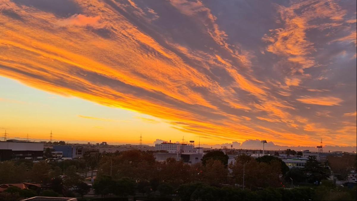 El mar rojo de Sant Boi de Llobregat
