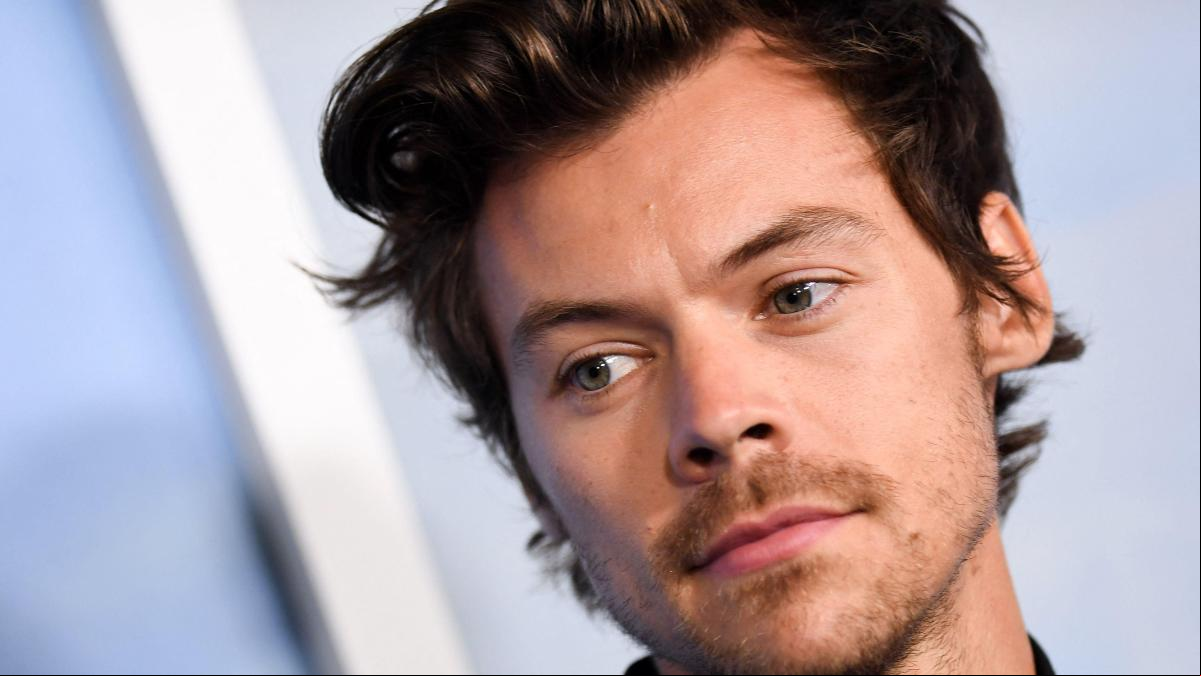 Harry Styles, entre los fieles de San Pedro para recibir al nuevo Papa