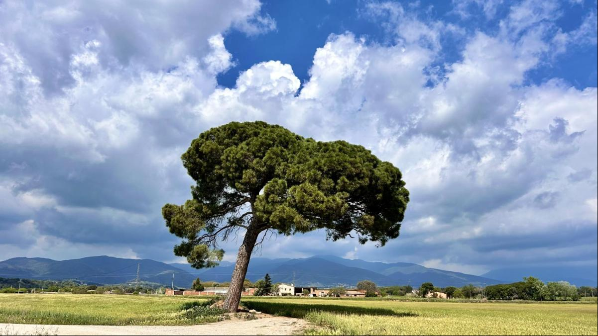 La dualidad del tiempo del Maresme y el Vallès