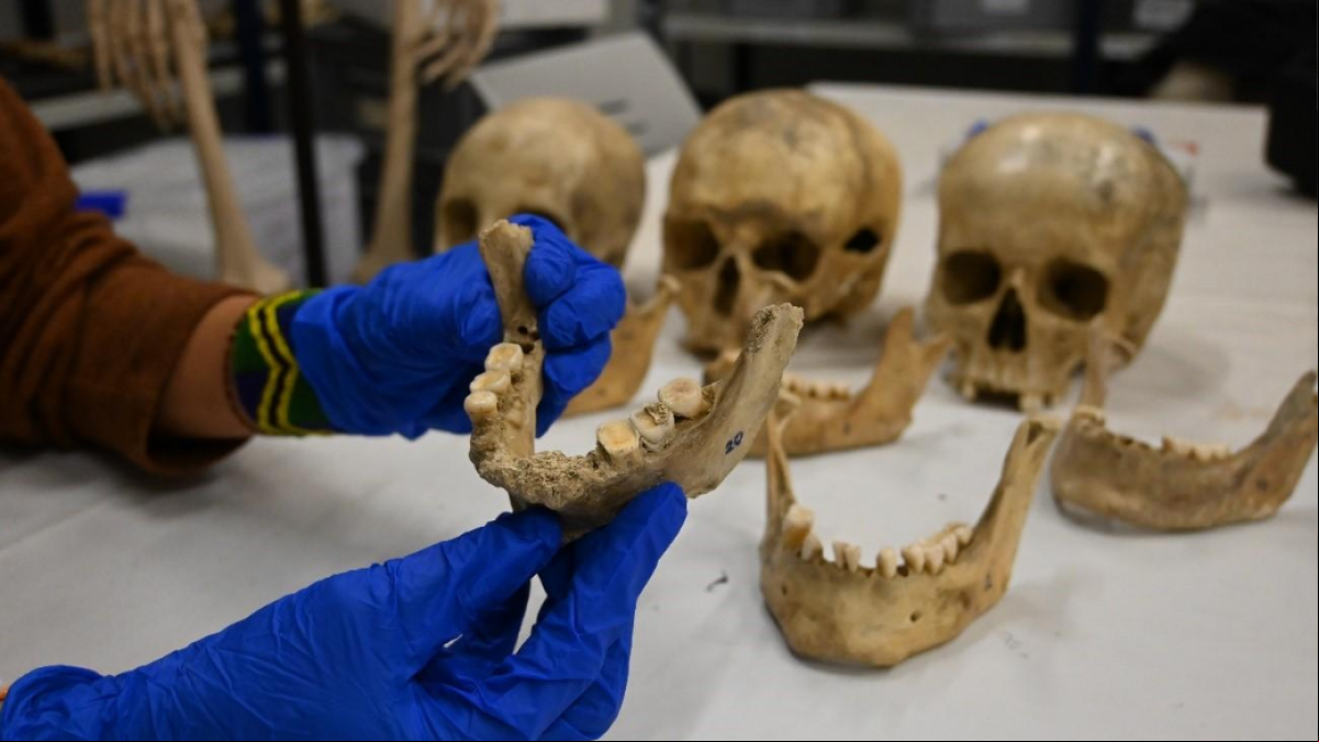 La dieta mixta de los humanos de la Catalunya prehistórica