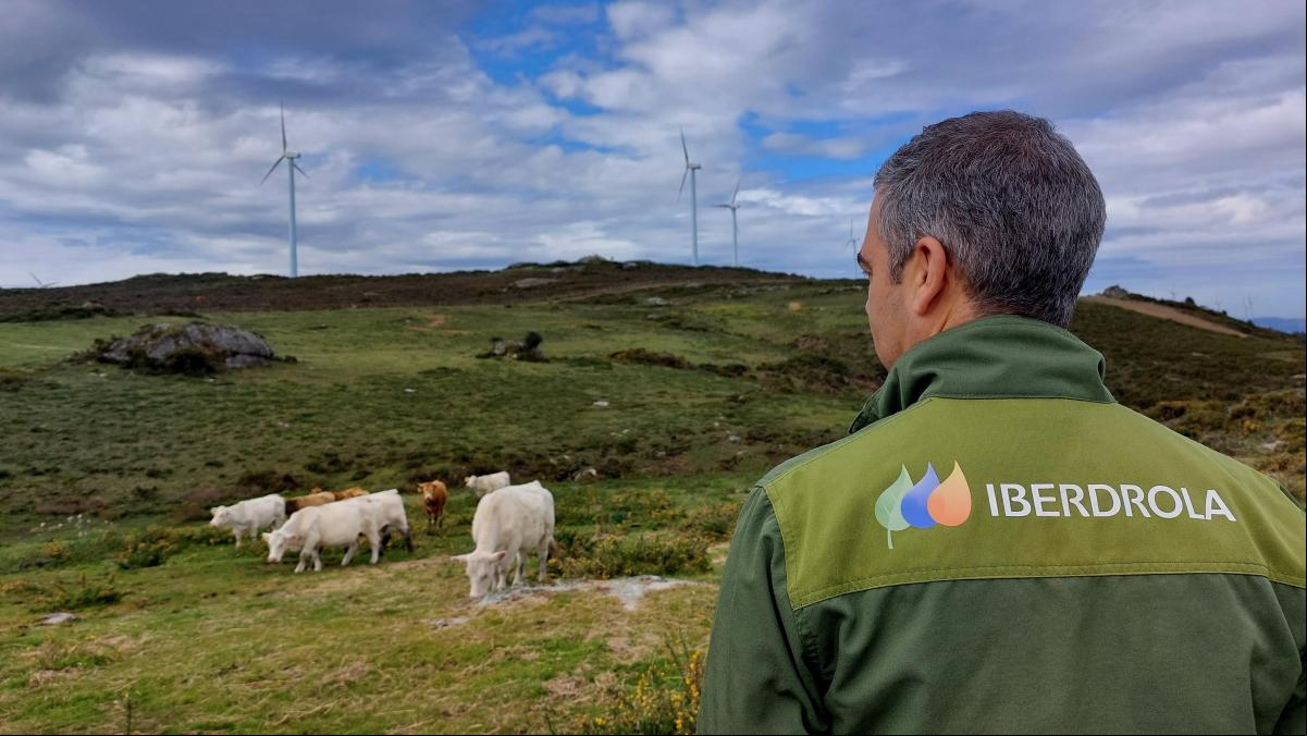La armónica convivencia entre biodiversidad y renovables