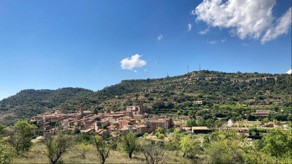 Hallan en las Muntanyes de Prades fósiles de un ave boreal desaparecida hace 24.000 años
