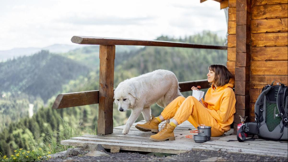 Los 3 mejores alojamientos en plena naturaleza para ir con tu perro sin salir de España este verano