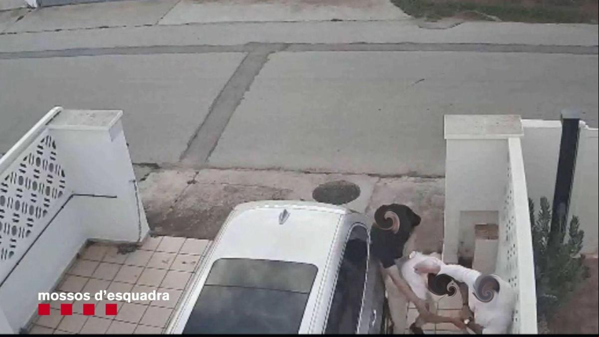 Dos detenidos por robar un reloj valorado en 11.000 euros a un vecino de Empuriabrava