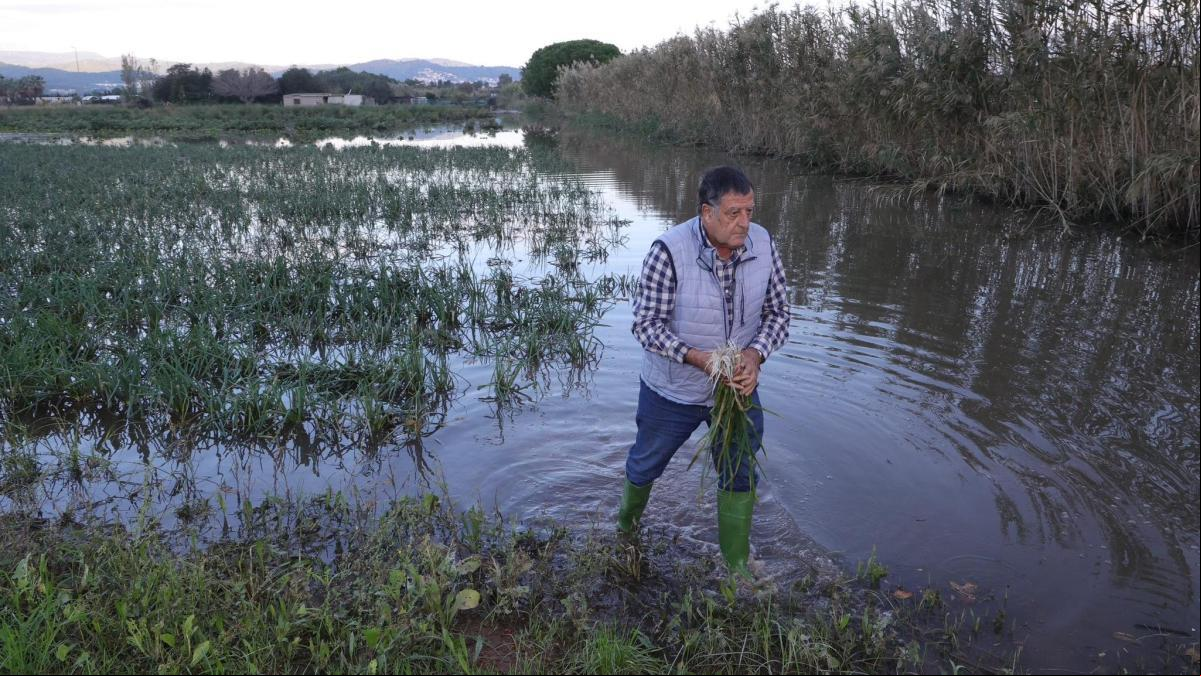 Agricultores y empresarios urgen acabar con las inundaciones en el Parc Agrari del Baix Llobregat