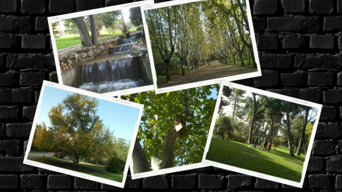 Otoño en el primer parque público de Madrid Otoño en el primer parque público de Madrid