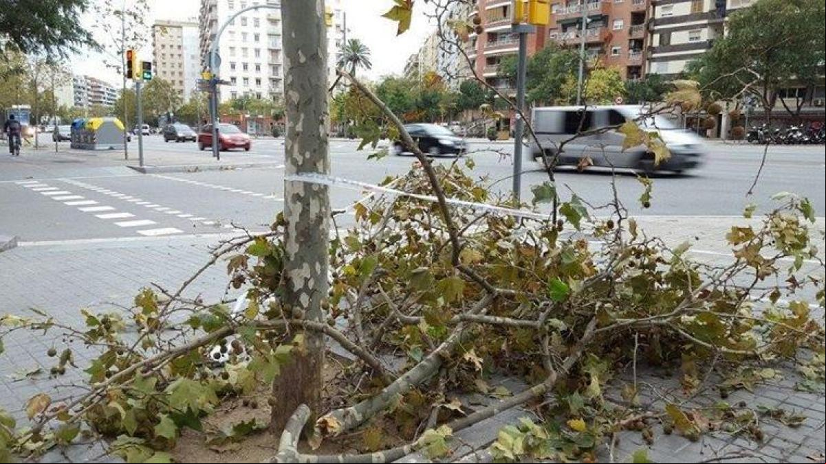 El Meteocat activa las alertas por vendaval en prácticamente toda Catalunya durante el domingo de Lotería de Navidad
