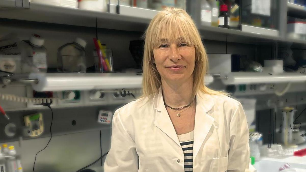 Natalia Garcia-Giralt, bióloga e investigadora del envejecimiento: “A los 60 años el sistema inmunitario se agota, se acumulan las células zombi”