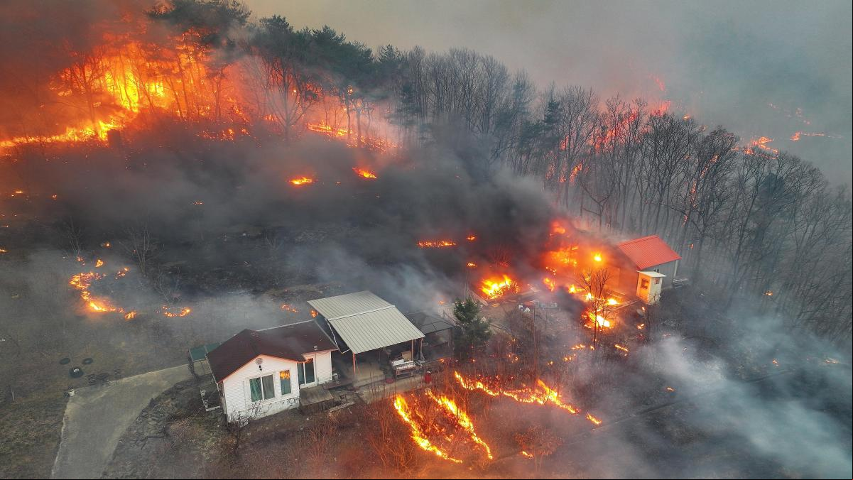 Ascienden a 24 los muertos por los incendios forestales en Corea del Sur