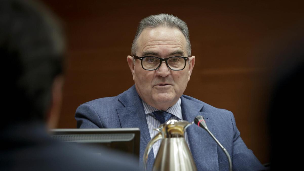 Subida de precios y trabajos en negro: Gan Pampols vigilará el mercado que genera la dana
