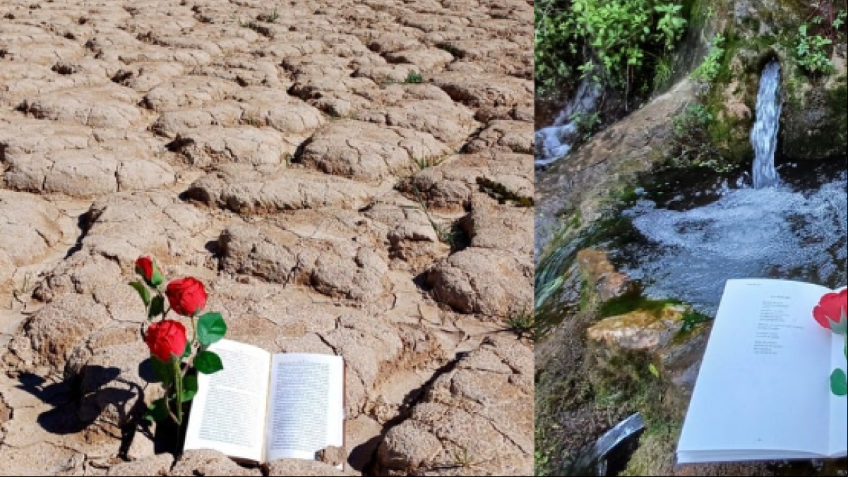 Un Sant Jordi sin sequía de agua, libros y rosas