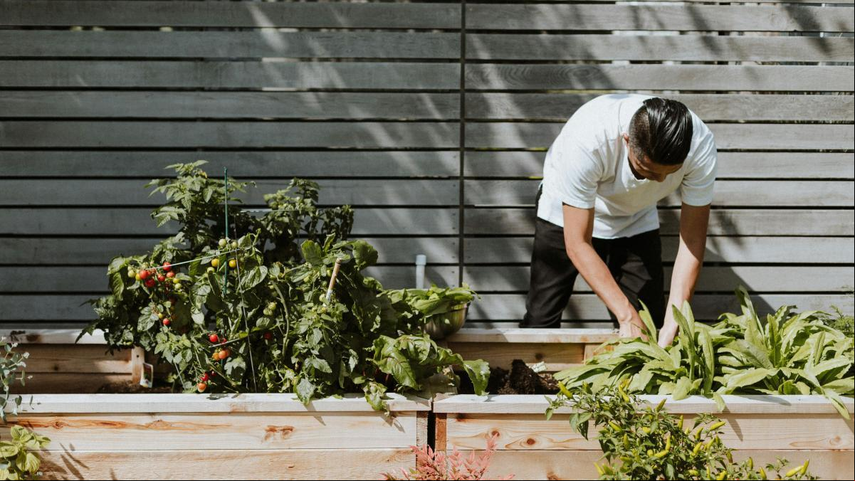 El truco definitivo para abonar tus plantas con los restos de una barbacoa