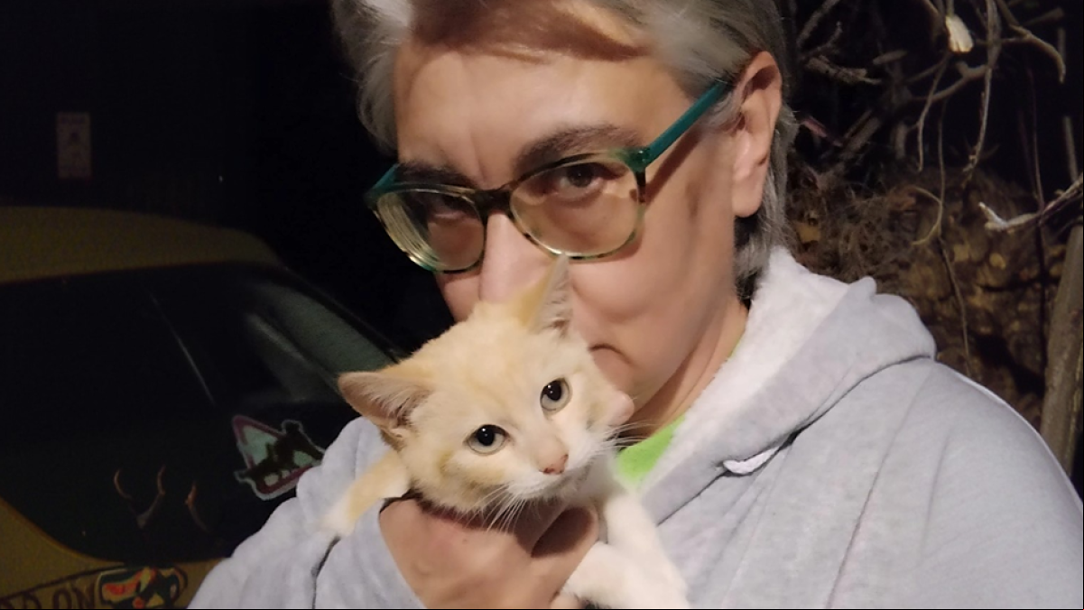 Gloria Herrera, gestora de colonias felinas, 64 años: “No somos las locas de los gatos, somos su voz; si no quieres ayudar, al menos no les hagas daño”