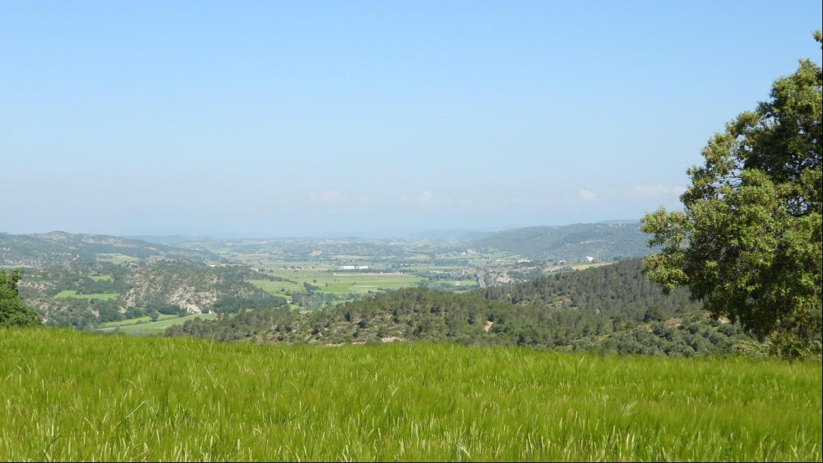 Los paisajes de la Alta Segarra