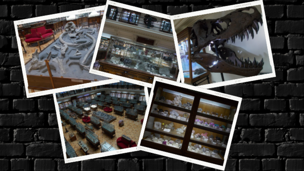 Las curiosidades del Museo Geominero Las curiosidades del Museo Geominero