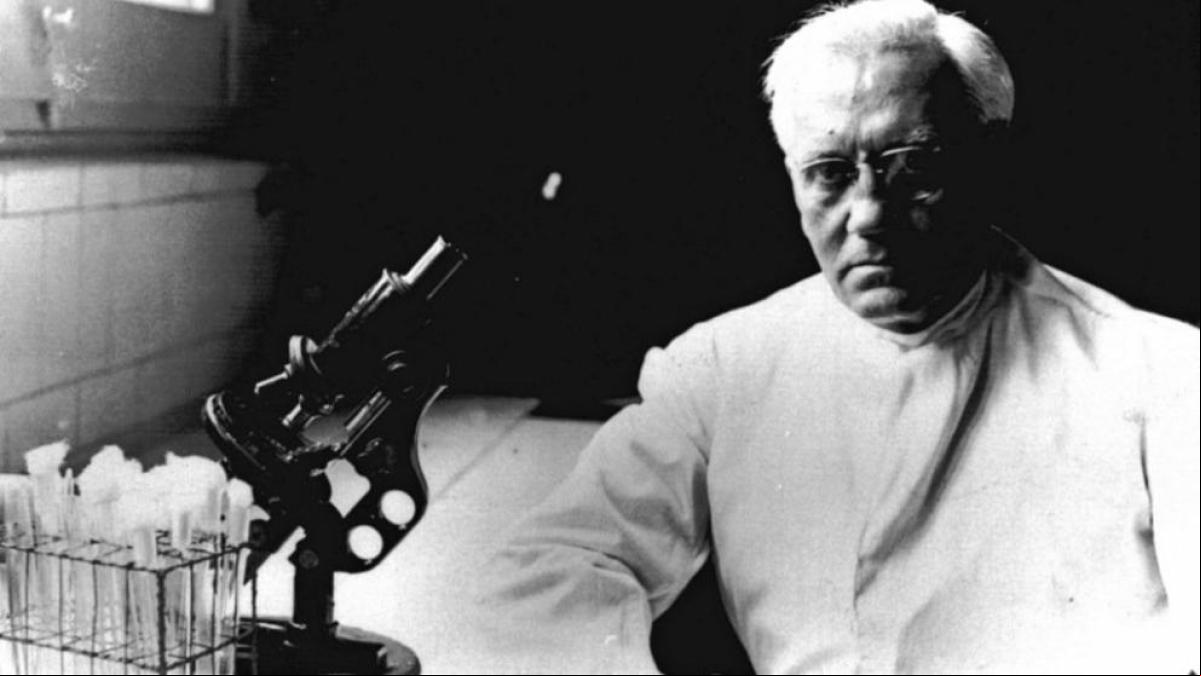 Cuando Fleming descubrió la penicilina y España se echó a sus pies