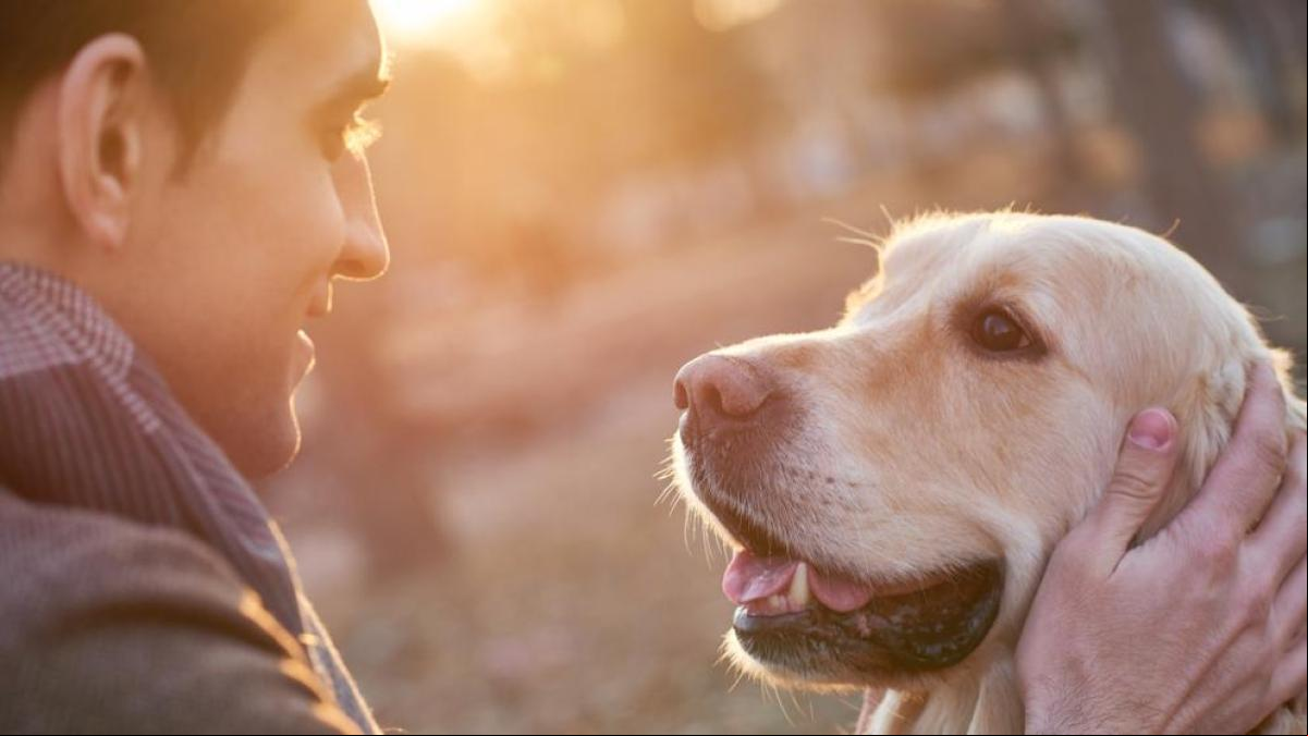 Diez millones de dólares para el equipo que logre la habilidad de “hablar con los animales”